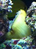 IMG_0285.jpg
