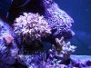 DSCN0177.jpg
