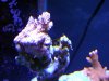 DSCN0179.jpg