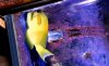 BlowingBubbles5.JPG