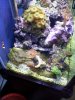 20120314_141859.jpg