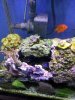 20120314_141832.jpg