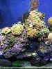 20120314_141841.jpg