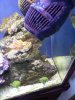 20120314_141852.jpg