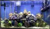 20120314_141553.jpg