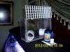 Acclimation Box 3.jpg
