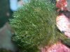 DSCN6909.jpg