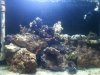 fts.jpg