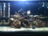 fts2.jpg