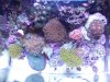 2011-07-20 22.26.59.jpg