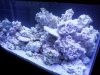2011-09-05 16.04.34.jpg