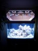 2011-09-05 20.18.16.jpg
