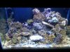 2011-11-11 20.00.31.jpg