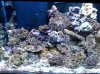 2011-11-27 16.25.53.jpg