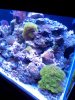2012-03-04 18.16.20.jpg