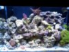 2012-03-17 19.13.07.jpg