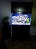 2012-03-17 19.21.55.jpg