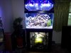 2012-03-17 19.22.54.jpg