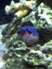 2012-03-18_17-49-43_983.jpg