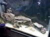 IMG_20120321_205427.jpg