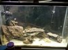 IMG_20120321_205447.jpg