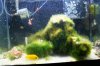 ReefMiserNR.com1.sm.jpg