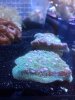 2012-03-23_14-57-05_183.jpg