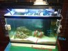 2012-03-27 20.36.36.jpg