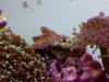 IMG-20120328-00010.jpg