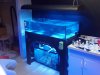 2012-03-25_15-54-44_189.jpg