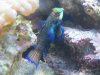 fish tank 024.jpg