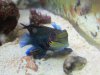 fish tank 015.jpg