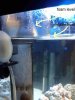 IMG_20120404_112o337.jpg