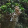 DSCF0140.JPG