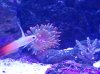 2012-04-07 09.48.36.jpg