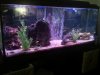 freshwater tank.jpg
