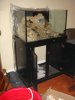 DSC05066.jpg