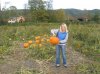 pumpkin patch.jpg