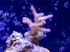 ImageUploadedByTapatalk1335183702.248456.jpg