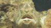 2012-04-24_00-31-47_293.jpg