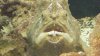 2012-04-24_00-31-32_678.jpg