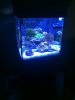 IMG_20120502_183638.jpg