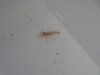 DSC01175.JPG