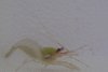 DSC01176.jpg