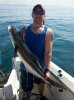KevinCobia.jpg