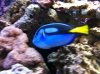 IMG_0021.jpg