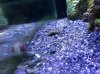 snail3.jpg