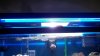 newlight2 007.jpg