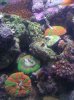 feeding time.jpg