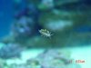 DSC00167.jpg